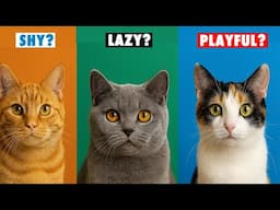 Cat Fur Colors and Personality - Science vs Myths