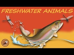 Animals of the FRESHWATER Biome 🐢 Beaver, Turtle, Loon, Heron