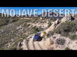 Blown Away in the Mojave Desert