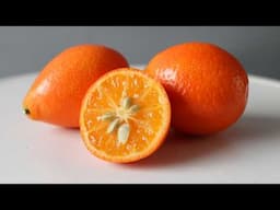 How to eat the Mandarinquat? This rare Citrus is AMAZING!