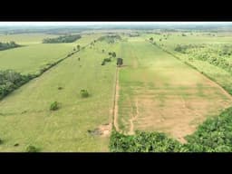 VIDEO 02