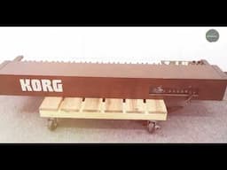 Top 5 Electronic Organs for Home and Stage