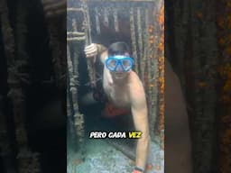 Youtuber descubre un pasadizo acuático secreto🥶