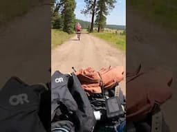 Bikepacking through Cisneros Park (meadows) in northern New Mexico. #bikepackinglife