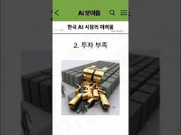한국AI시장이 위험한 이유