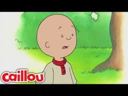 Caillou's Friends | Caillou - WildBrain | Learning for Children