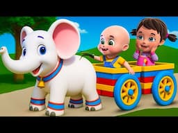 Baby Elephant Song New Compilation | Baby Bingo | Nursery Rhymes and Kids Songs | Baby Bobo