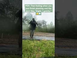 Guess I Don't Need to Water Tonight! 🌱💧 #gardening #homesteading #countryliving #rain