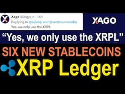 Massive XRP News Ripple Partner Brings SIX NEW MAJOR Stablecoins, Cointelegraph HIT PIECE, XRPL Bugs
