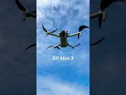 DJI Mini 3 Drone Test Flight #dji #djimini3 #djimini3pro #dronevideo
