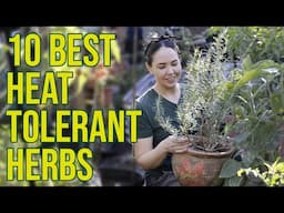 Florida Herb Garden: 10 Herbs That Will Thrive in Your Backyard