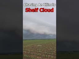 Chasing An Illinois Shelf Cloud #stormchasing #weather #tornado #midwest