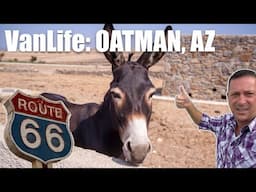 Route 66 VanLife to Oatman, AZ - Burros and Mining History