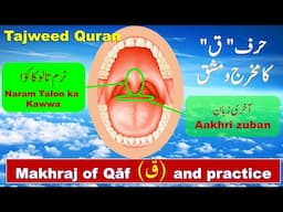 How to pronounce letter Qaf ( ق ) in Quran | Makhraj of Qaaf in Tajweed | Quran with Tajweed