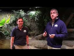 RainForest Update 2.14