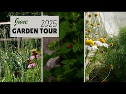 COTTAGE GARDEN TOUR 2025 | A Slow Tour of my Cottage Garden🌻🍄