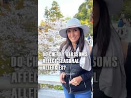 Do cherry blossoms affect allergies?