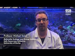 Reef Protection Factor: Helping you choose marine-safe products