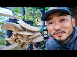 WE'RE GROWING THOUSANDS $$$$ Worth of Mushrooms At Home