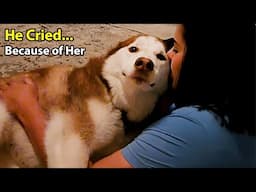 When You Own a Dog MORE Emotional Than You Are❤️Cute Dog Reaction Videos 2025