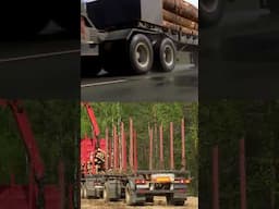 Final Destination LIED!