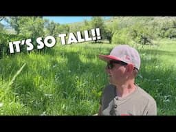 This grass was SUPER Overgrown