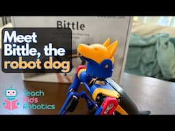 Meet Bittle, The Robot Dog