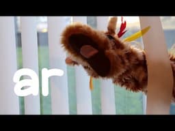 Mr.T Does Phonics with Geraldine the Giraffe - The 'ar' Digraph