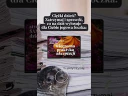 Czasem nie wiemy, czego potrzebujemy. Dlatego dziś foczka wybiera za nas. 🦭