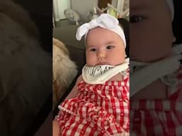 No script, just pure baby comedy! 😂👶 #baby #funny #funnybaby #funnyvideos #cute #funnybabies