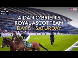 All eyes on Storm Boy! Aidan O'Brien's Royal Ascot day 5 team