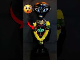 क्या यही है Grey Aliens का रहस्य?