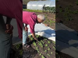Water less often -  in spring there is moisture underneath a dry surface