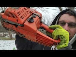 CHINESE CHAINSAW TACKLES A MONSTER 31" ASH TREE AND FORD 850 BACKHOE LIFTS IT!