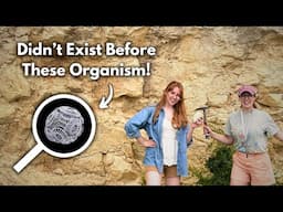 How Life ‘Invented’ A New Rock Type ~100 Million Years Ago! GEO GIRL