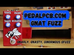 PedalPCB.com Gnat Fuzz