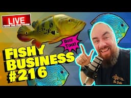 Friday Night Live! -  Fishy Business #216