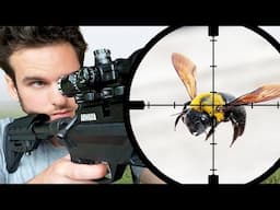 Shooting Destructive Bees with High Power Salt Gun!