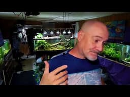 The Dan & Steve Show
