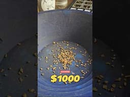 $1,000