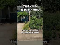 This Yard Blew My Mind
