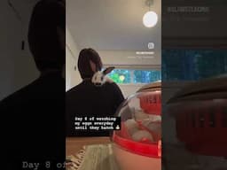 Day 8 of watching my eggs everyday until they hatch
