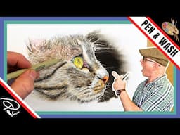 Drawing and Painting a CAT in INK and WASH