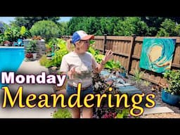 Monday Meanderings in My Carolina Garden | Purple Mandevilla & Huge Banana Tree Leaves