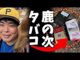 奈良のシカが泣いている！訪日中国人のシカ虐待とマナー違反にへずまりゅうが怒りの叫び【奈良公園の現実】