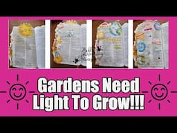 Increase Your Bible Gardening with Shalon