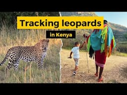 Leopard Tracking in Kenya?!? - Best non-touristy itinerary (Part 3)