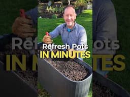 Compost Is The BEST Way To Revitalize Your Container Soil (How To)