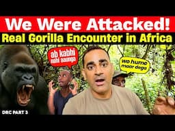 Scariest Jungle Experience! “Gorilla Attack in Congo – Caught on Camera!”