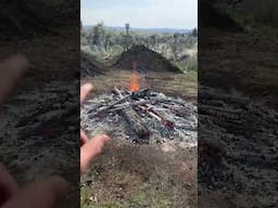 Transform a regular burn pile INTO AMAZING BIOCHAR!!! #biochar #worms #farmlife